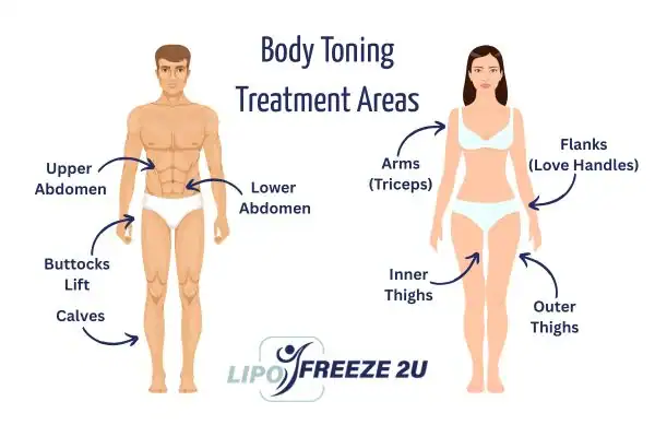 Graphic showing where you can have Body toning Treatment Basildon on your body